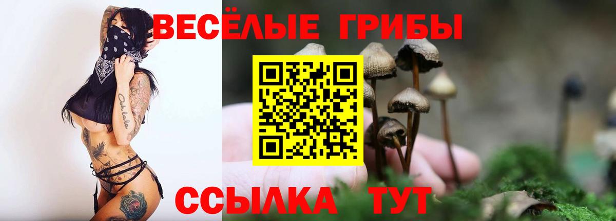 Конаково  Псилоцибиновые грибы прущие грибы  Галлюциногенные грибы мухоморы  Вход с VPN 